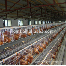 Melhor venda de gaiolas de camada de ovo de galinha da fábrica na China